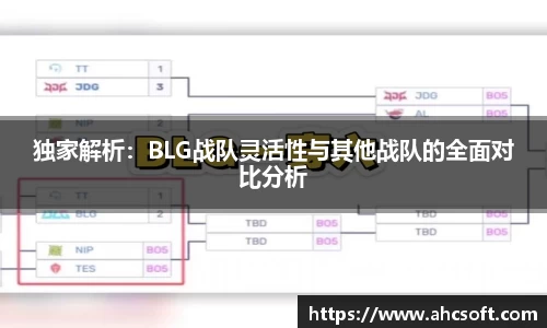 独家解析：BLG战队灵活性与其他战队的全面对比分析